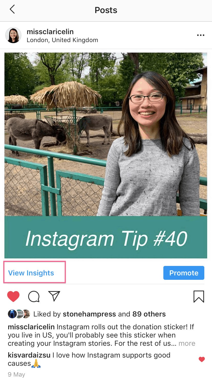 Instagram Post View Insights